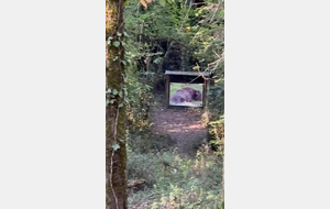 Tir Nature avec notre Robin des Bois